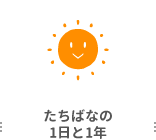 たちばなの1日と1年