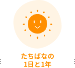 たちばなの1日と1年