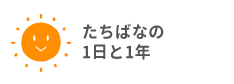 たちばなの1日と1年